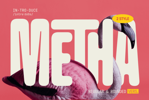 Metha: The Friendly Sans Serif for Modern Brands